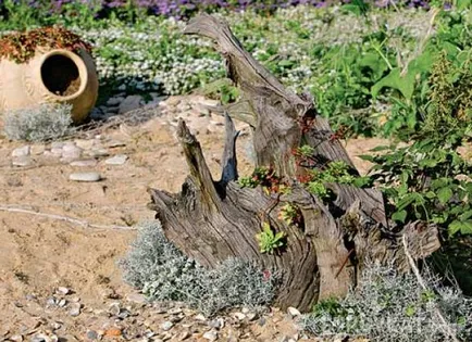 Artizanat pentru grădina cioturile și rădăcini de copaci