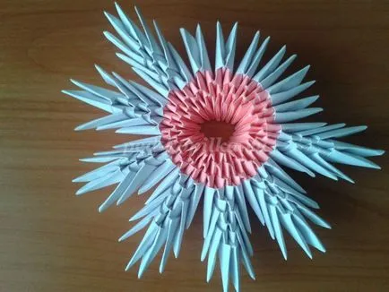 Crafts Origami module animale mari și o lebădă cu microni și video