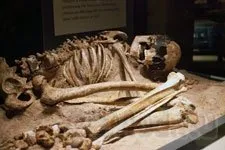 Neander-völgyi ember, tény és fikció - történelem neandervölgyi ősök