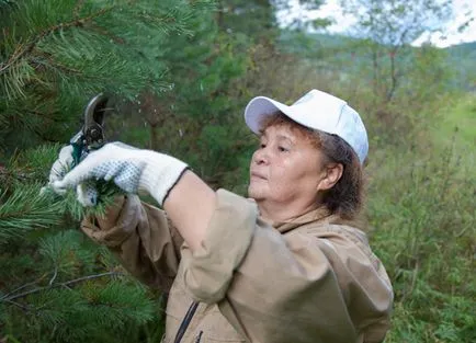 Természetes Do natura sibirica kozmetikumok - események - rendezvények - élő organikus