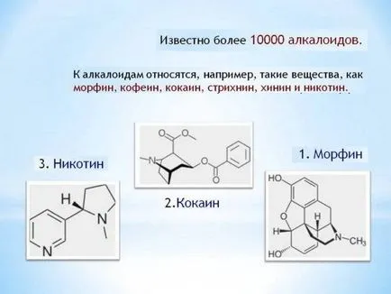 Тинктура на отровни гъби при лечението на съвместен механизъм на действие