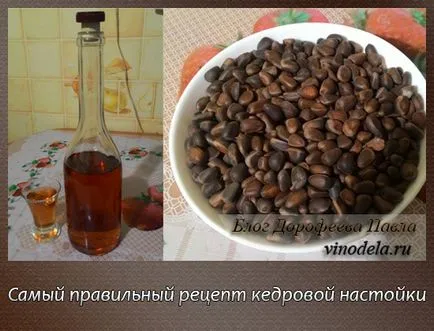 Tinktúra Cédrus vodka recept ízletes és egészséges