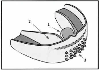 Articole utile despre echipamente stomatologice, materiale