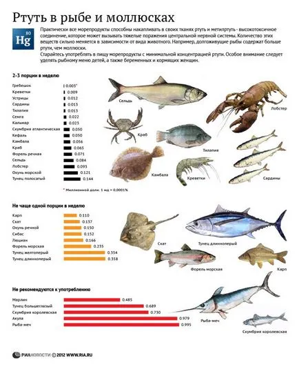 Tedd macskák tonhal hasznos macskákról