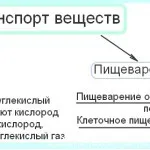 Psihologia și comportamentul uman, lecții de la distanță