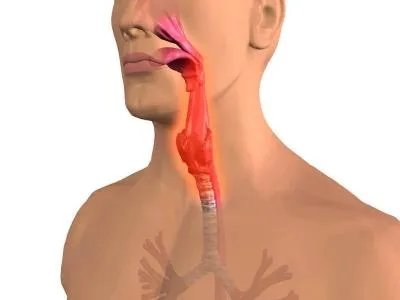 modalități simple de a scăpa de mucus în organism