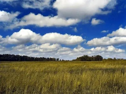 Признаци на хубаво време