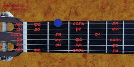 Местоположение бележки на грифа на китарата