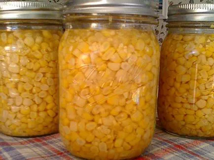 Рецепти осоляване млада царевица на кочан и боб