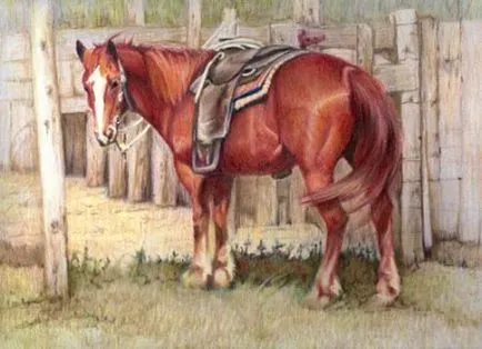 Desen cal de culoare - site despre cai