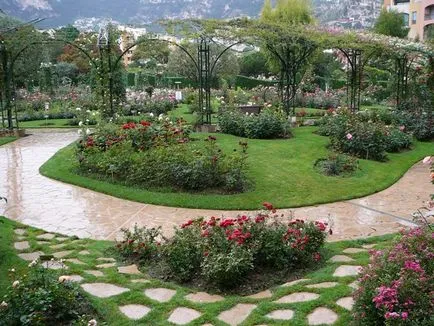 Rose și Rose Garden Princess Grace din Monaco