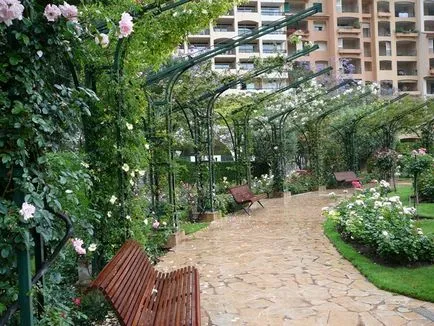 Rose și Rose Garden Princess Grace din Monaco