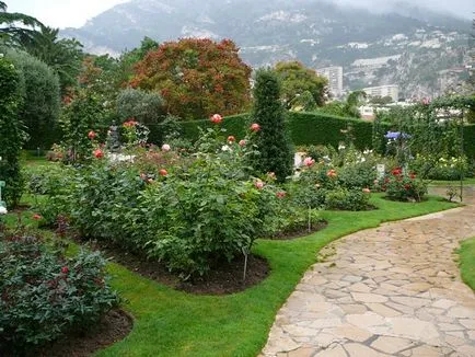 Rose és a Princess Grace Rose Garden Monaco