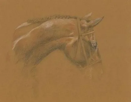 Desen cal de culoare - site despre cai