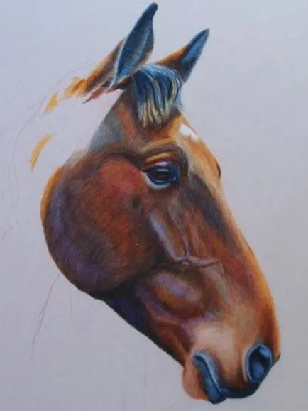 Rajz ló színű - helyszínen a lovak