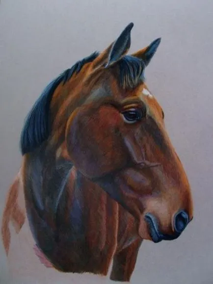 Rajz ló színű - helyszínen a lovak