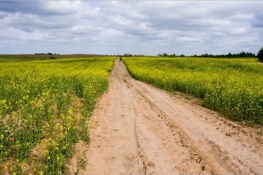 Szanatóriumok Minsk region 2017 árak a kezelés, a hivatalos honlapján az üdülőhely szakértő