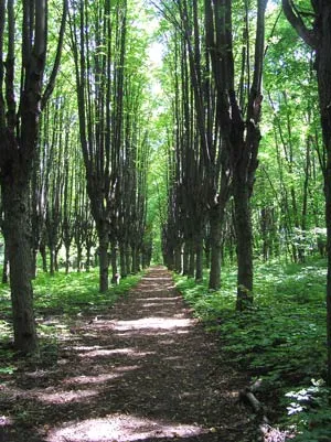 parc Sharovsky