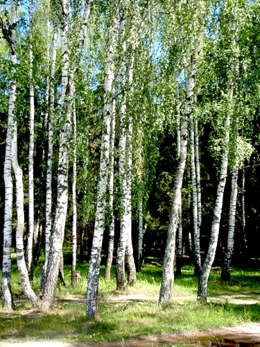 Днес, утре и вчера (Leyda Starostina)