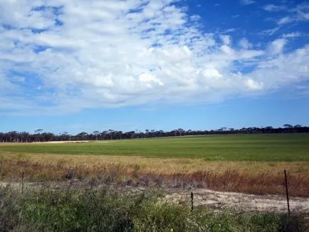 Agricultura în Australia