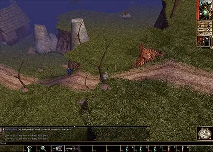 Neverwinter nights