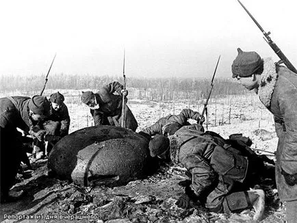 Непопулярни съветски финландската война, си отношение Пацем, ал Bellum!