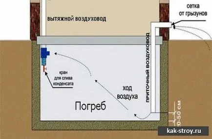 Изграждането на избата в частна къща със собствените си ръце