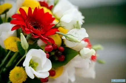 Nunta cu aromă de cireșe în roșu și alb în carouri Natalia și Alexey