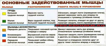 Информацията в симулатор кълват палуба - про-Ках - Културизъм за начинаещи