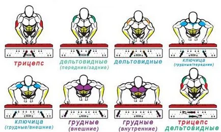 flotari de conducere pentru cresterea masei musculare