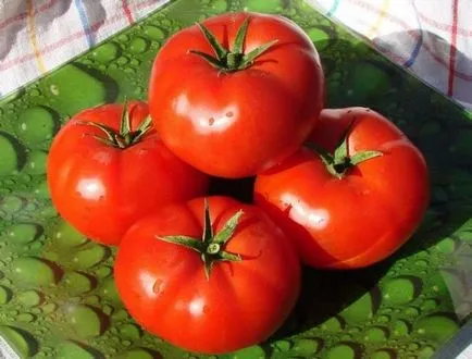 Tomate comentarii „explozie“ de la cei care au plantat, fotografii, descrierea și caracteristicile soiurilor termeni și reguli