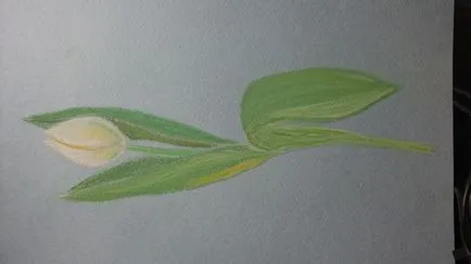Tulip, trage cu pasteluri în etape! Blog - un blog al artistului Plaksinoy Iriny