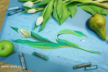 Tulip, trage cu pasteluri în etape! Blog - un blog al artistului Plaksinoy Iriny