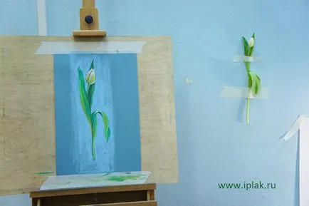 Tulip, начертайте с пастели в етапа! Блог - блог на художника Plaksinoy Iriny