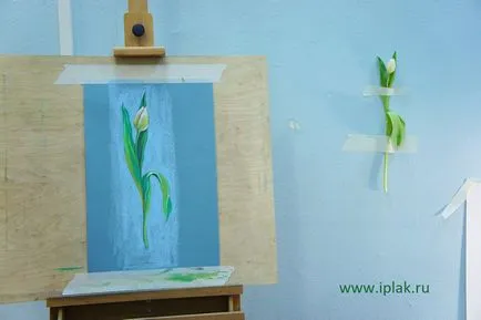 Tulip, trage cu pasteluri în etape! Blog - un blog al artistului Plaksinoy Iriny