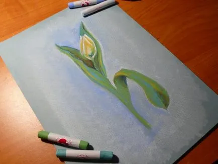 Tulip, trage cu pasteluri în etape! Blog - un blog al artistului Plaksinoy Iriny