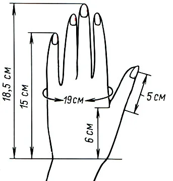 32. lecke