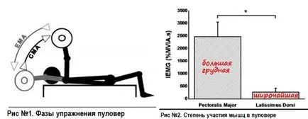 Упражнение пуловер