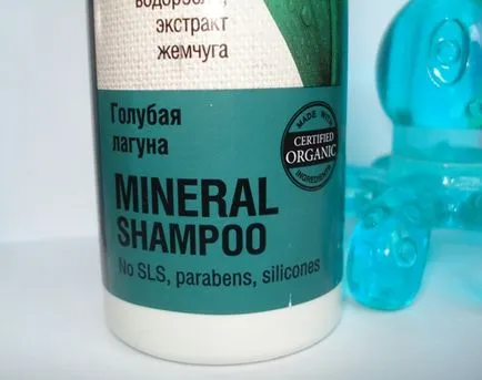 consolidarea șampon de păr Blue Lagoon de la magazinul ecologice - despre cosmetice comentarii
