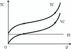 tipuri de costuri