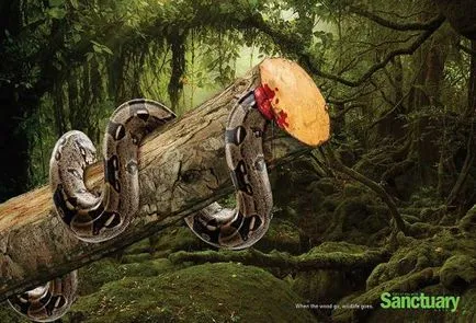 Обезлесяването е убил живота на социалната реклама в защита на животните и природата - веган