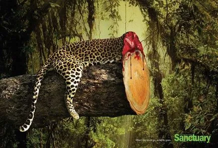 Обезлесяването е убил живота на социалната реклама в защита на животните и природата - веган