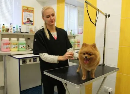 Vettsentr orvos Brezsnyev - Veterinary Clinic, vetapteka, pet shop, groomer, hajvágás
