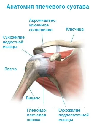 simptome, tratament dislocat umărul, chirurgie, recuperare dupa dislocarea, dislocarea obișnuită a umărului