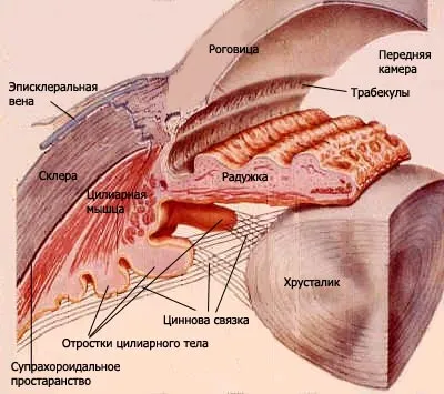 chirurgie internă de bypass pentru glaucom