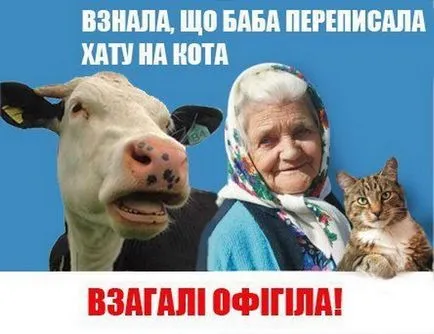 Всички fotozhaby с баба и котка