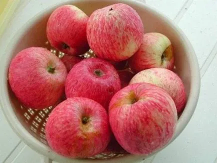 Caramel Descriere soiuri de măr, fotografii, caracteristici lemn și fructe