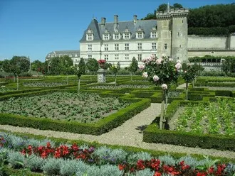 Chateaux de Loire Chambord, Chenonceau, Villandry, Blois, Amboise