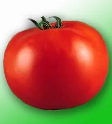 Agrotechnologies - tomate în creștere