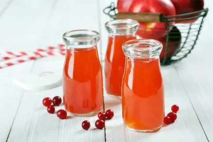 7 retete Cum de a găti un suc de afine delicioase pentru copii și adulți